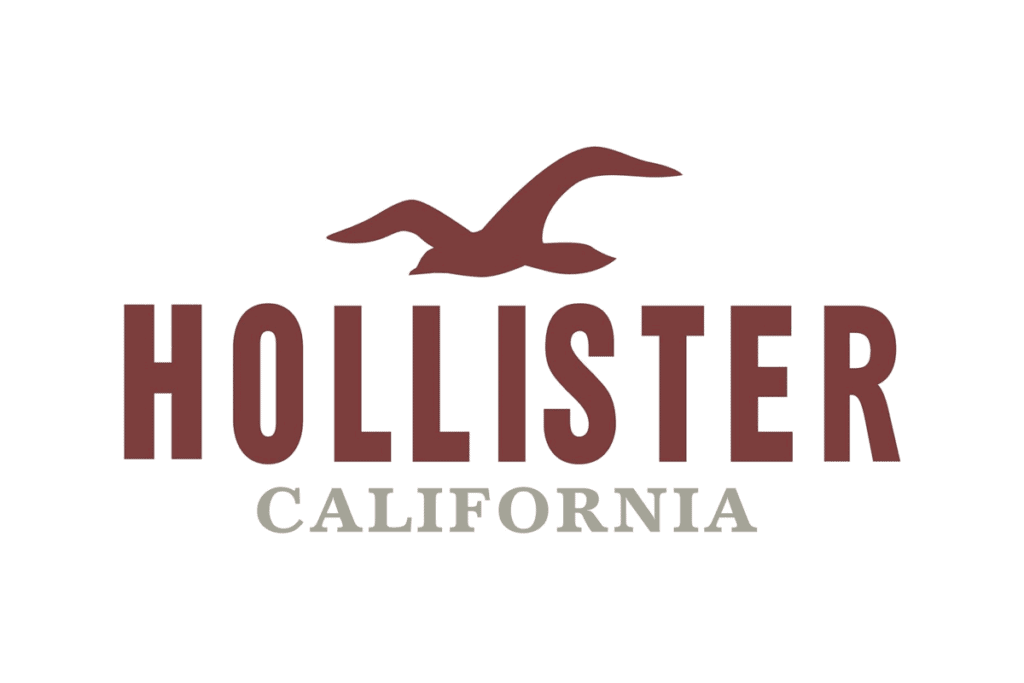 hollister logo design 1024x683